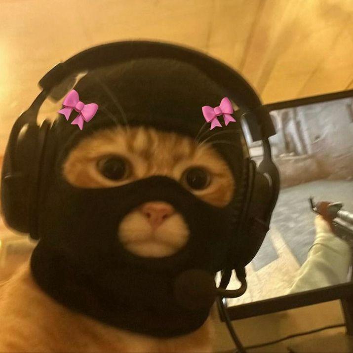 Pkkks avatar