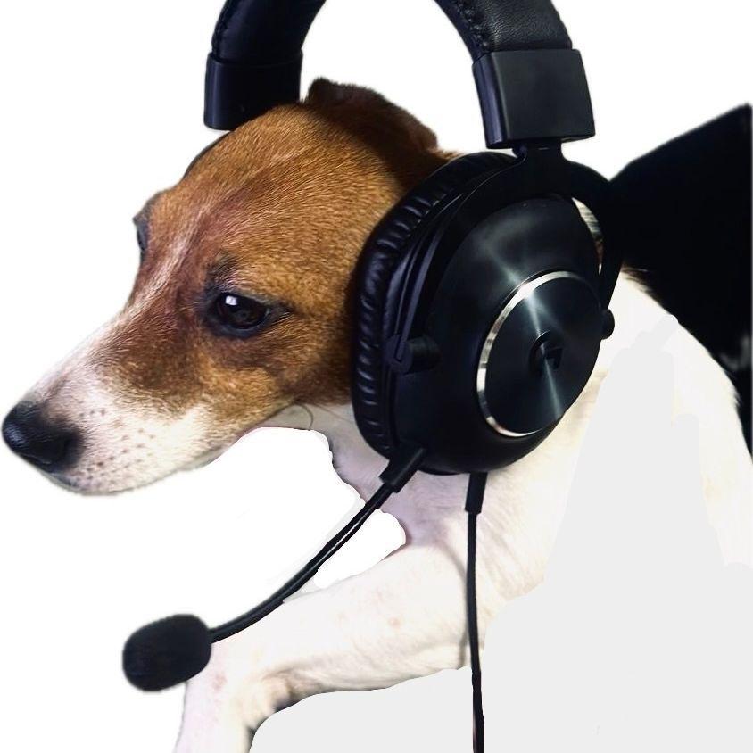 Arhangelskuu avatar