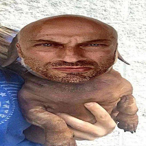 Smallshed avatar