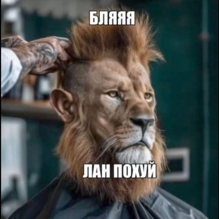ilya92937091 avatar