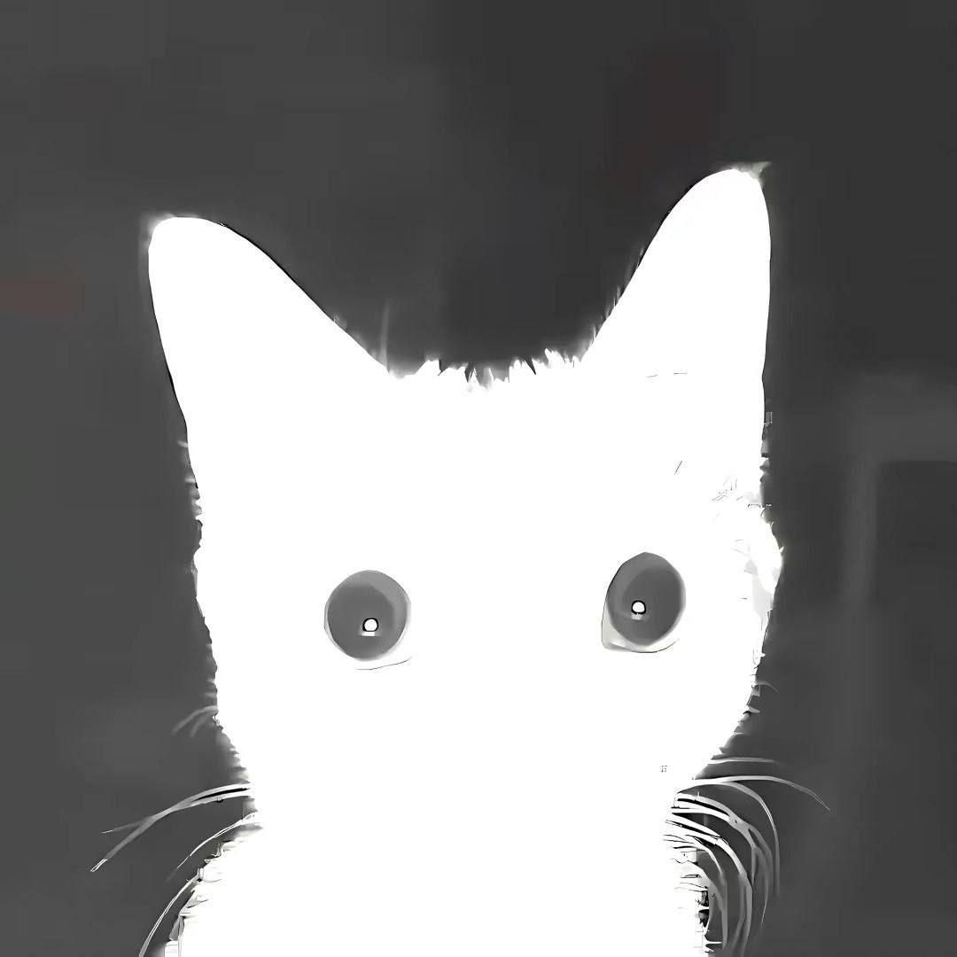 222hajek avatar
