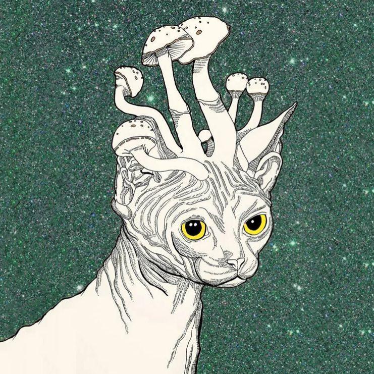 Basko06 avatar