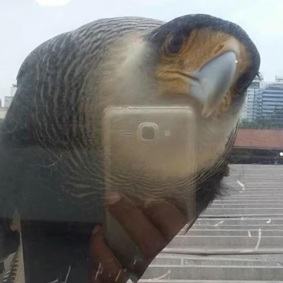 m0rdavuy avatar