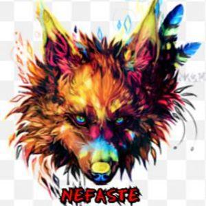 Player Nefaste13 avatar