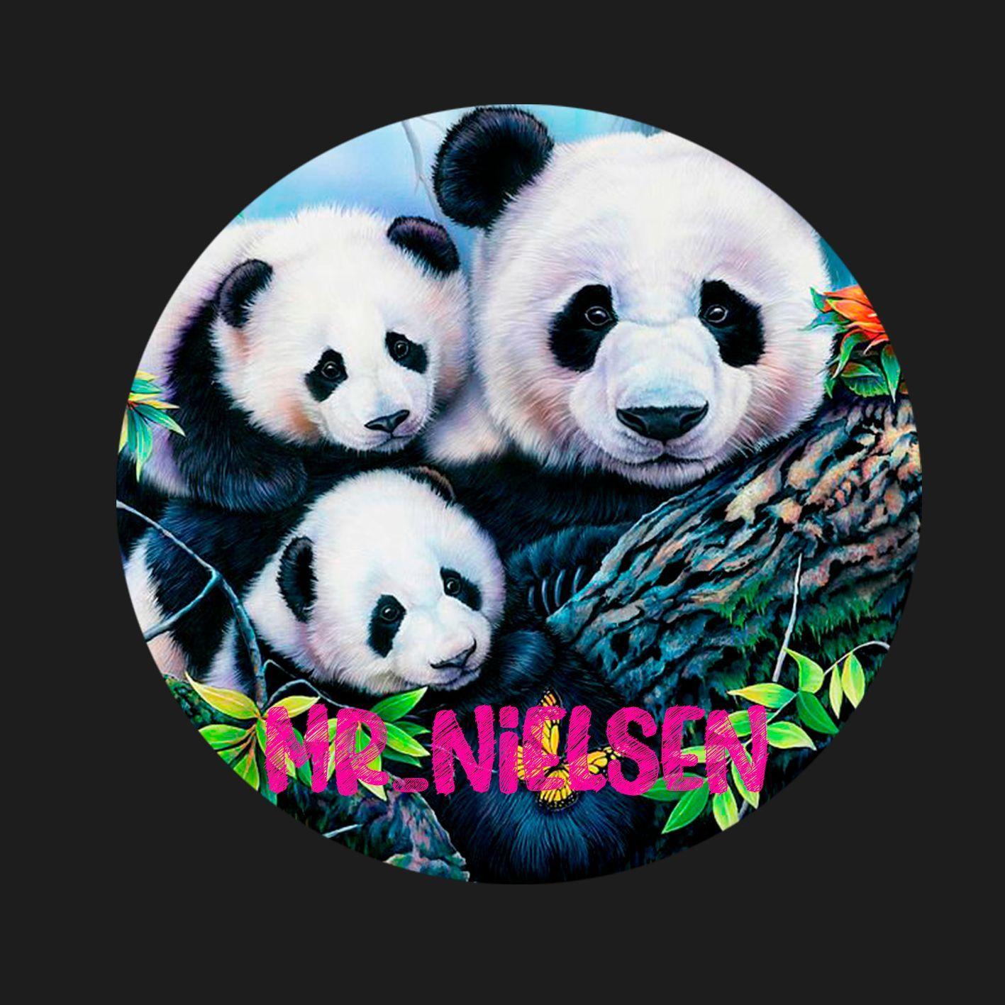 Mr_Nielsen11 avatar