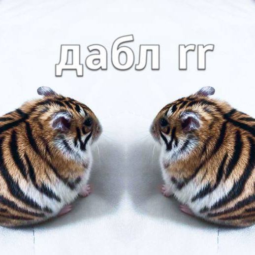 pod_pivasi