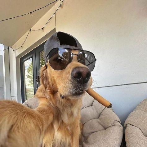 0FREO1337 avatar