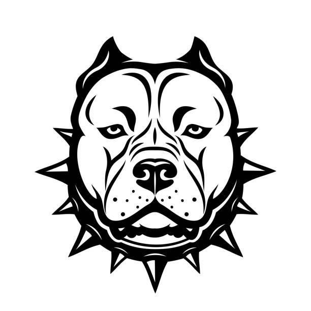 Pitbull_go