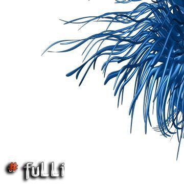 Player fuLLi avatar