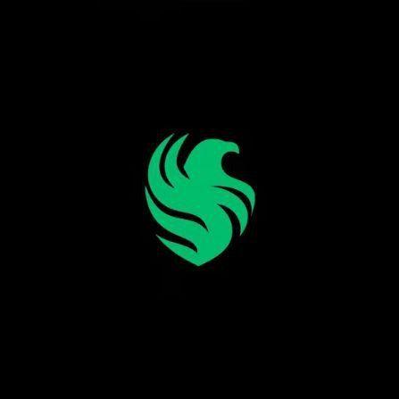 salier1- avatar