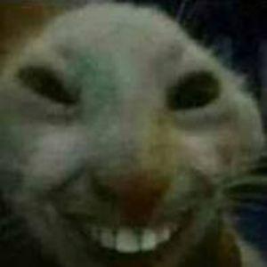 Salo_1337 avatar