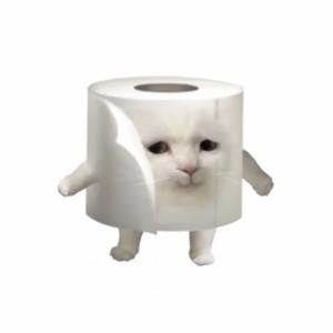 HAJIMI