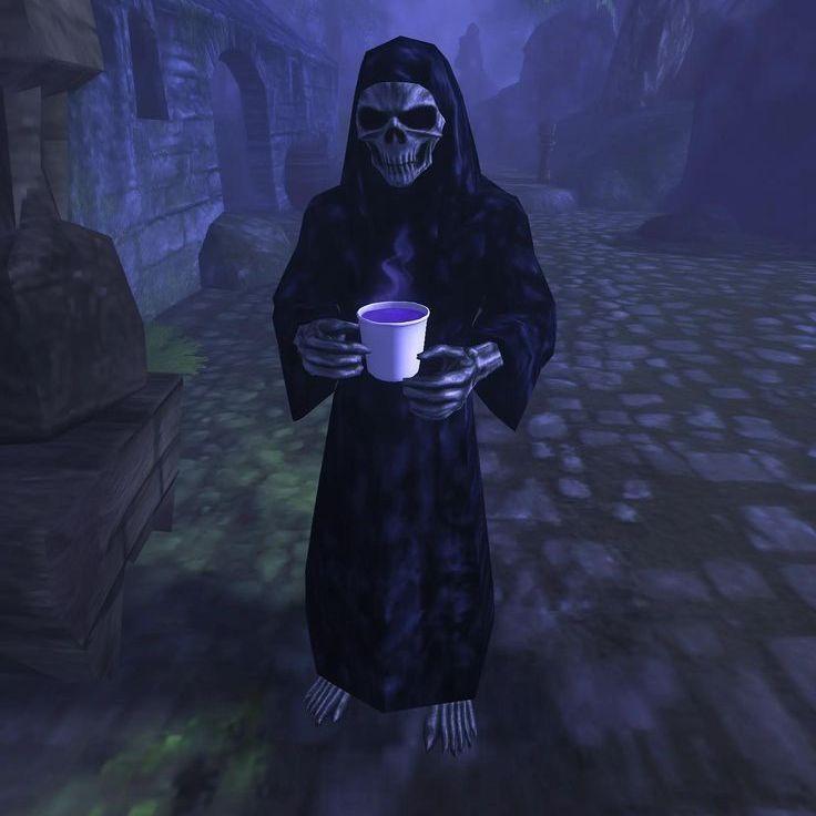 xec8 avatar