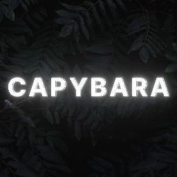 Player CapyBara691 avatar