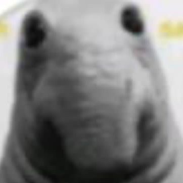 Faceit Avatar