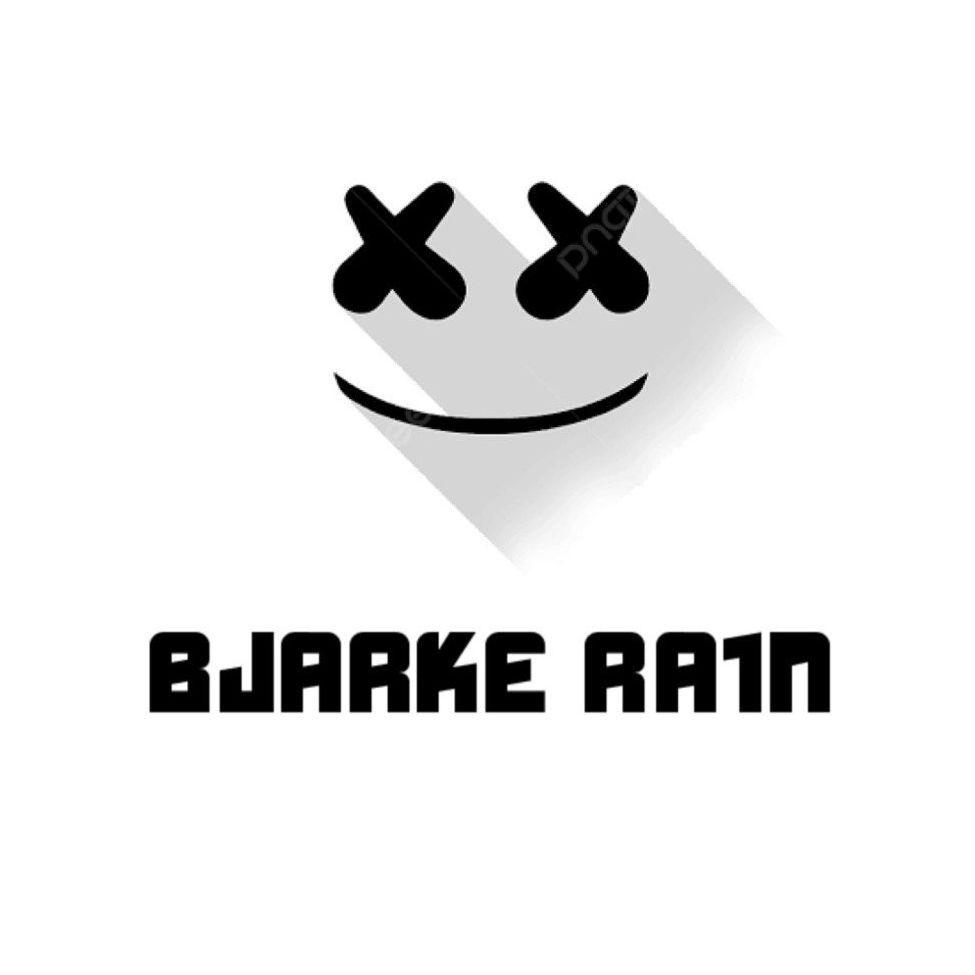 Player bjarke_ra1n avatar