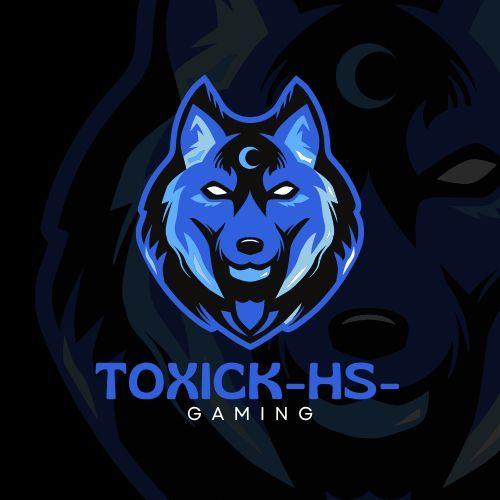 ToXicK-Hs-Dz avatar