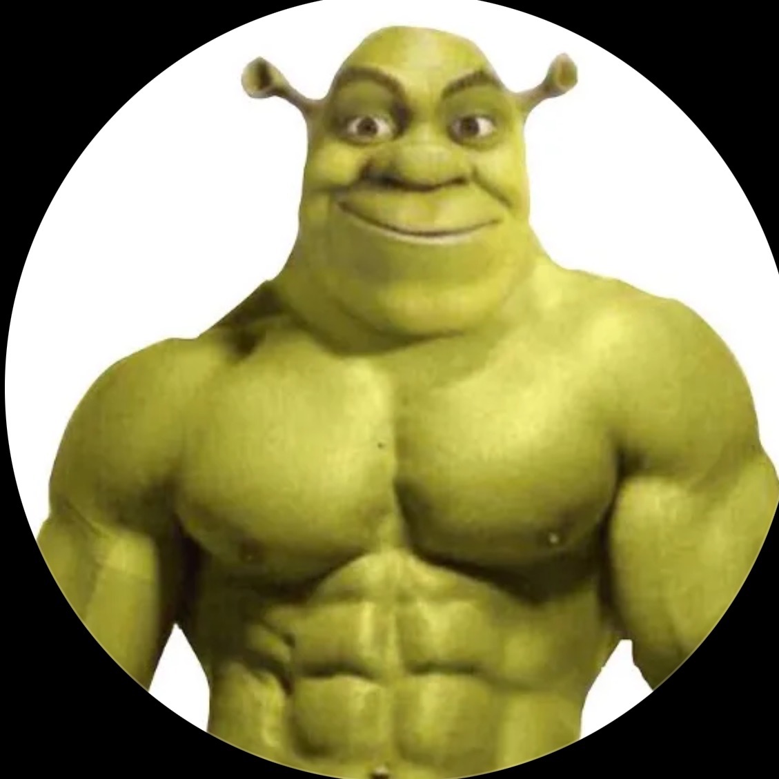 marack221 avatar