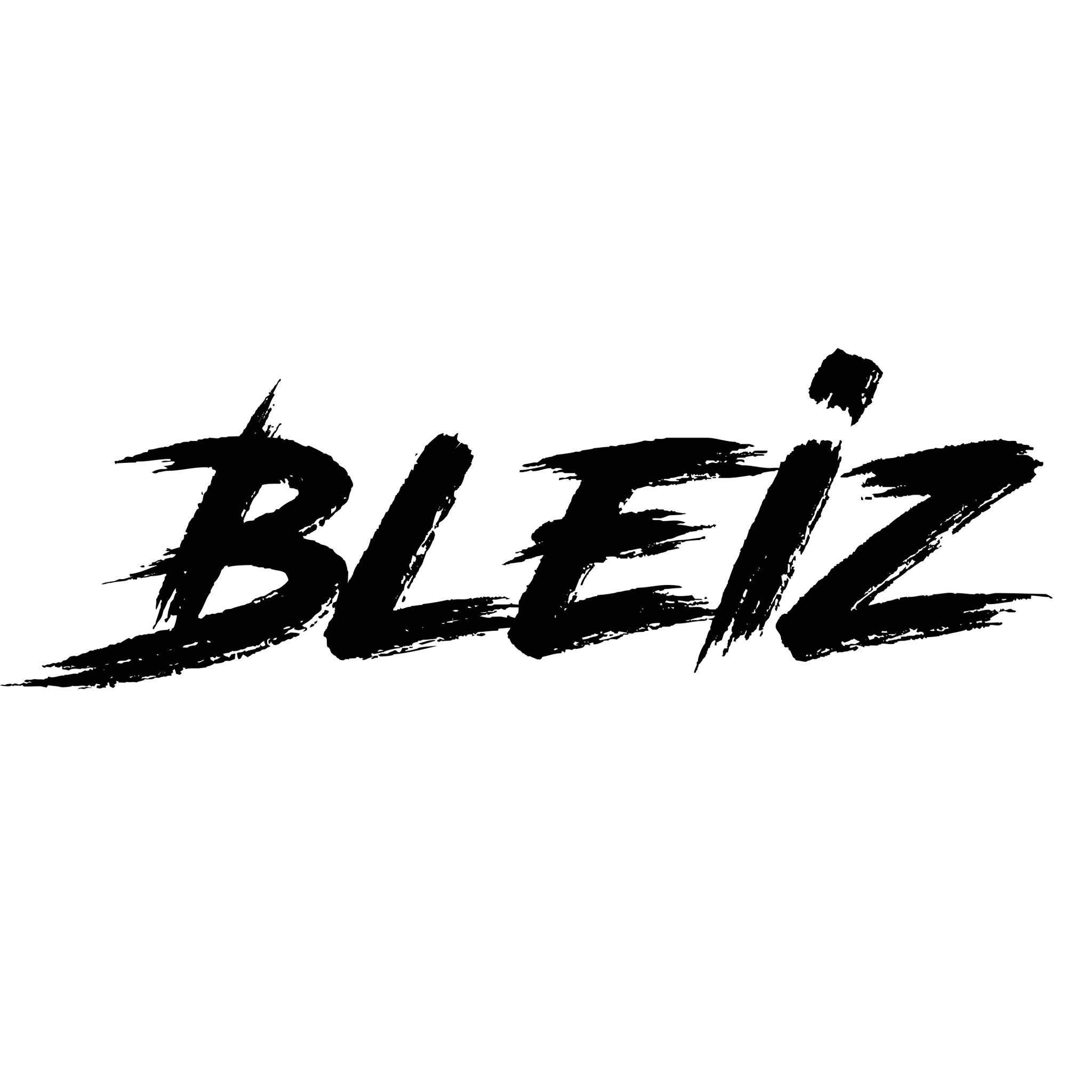 Bleiz Academy