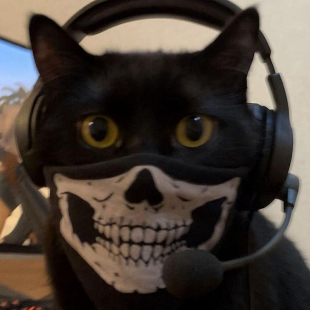 coveleski avatar