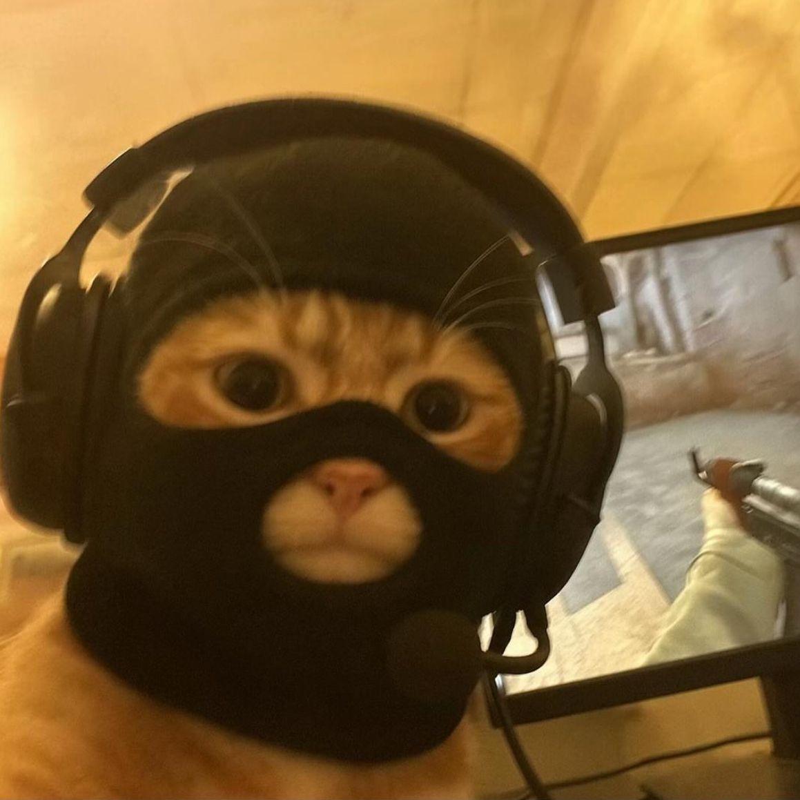 vukuse avatar