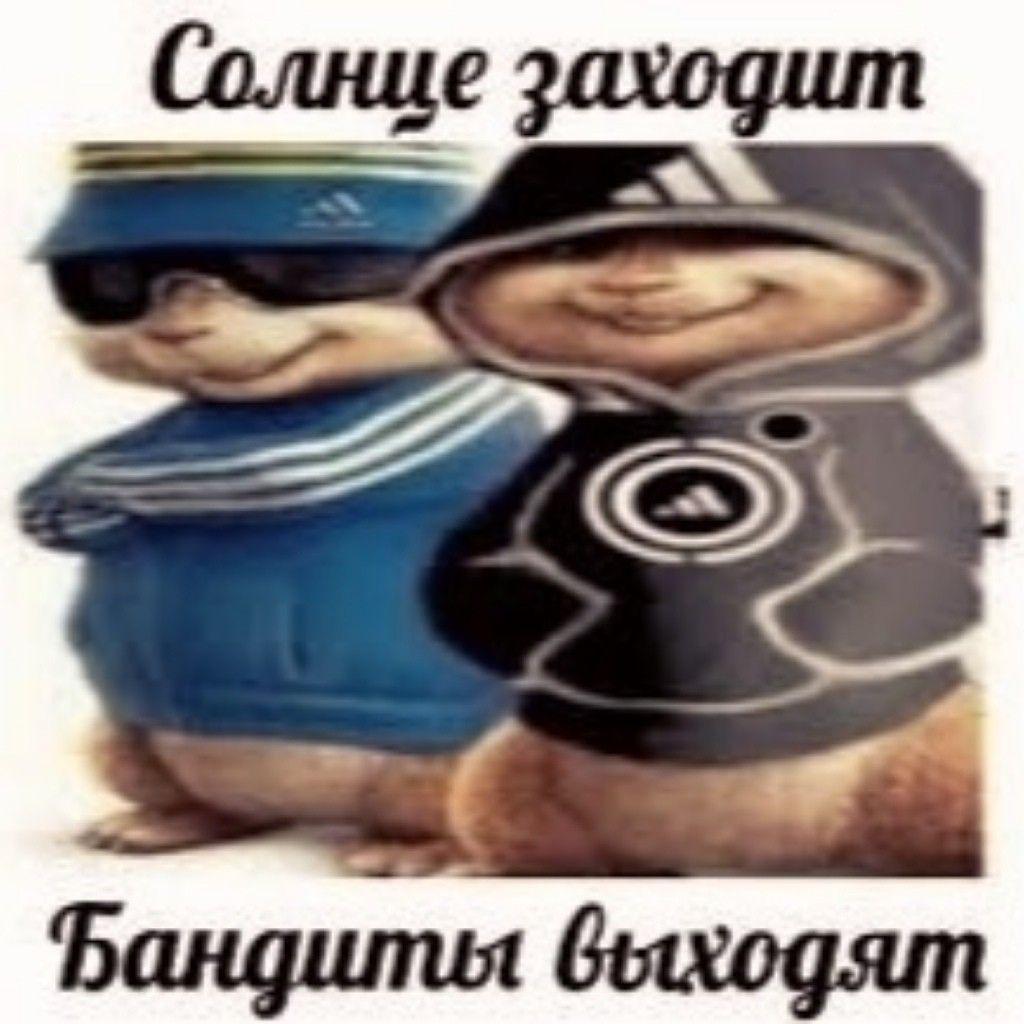 molongs avatar