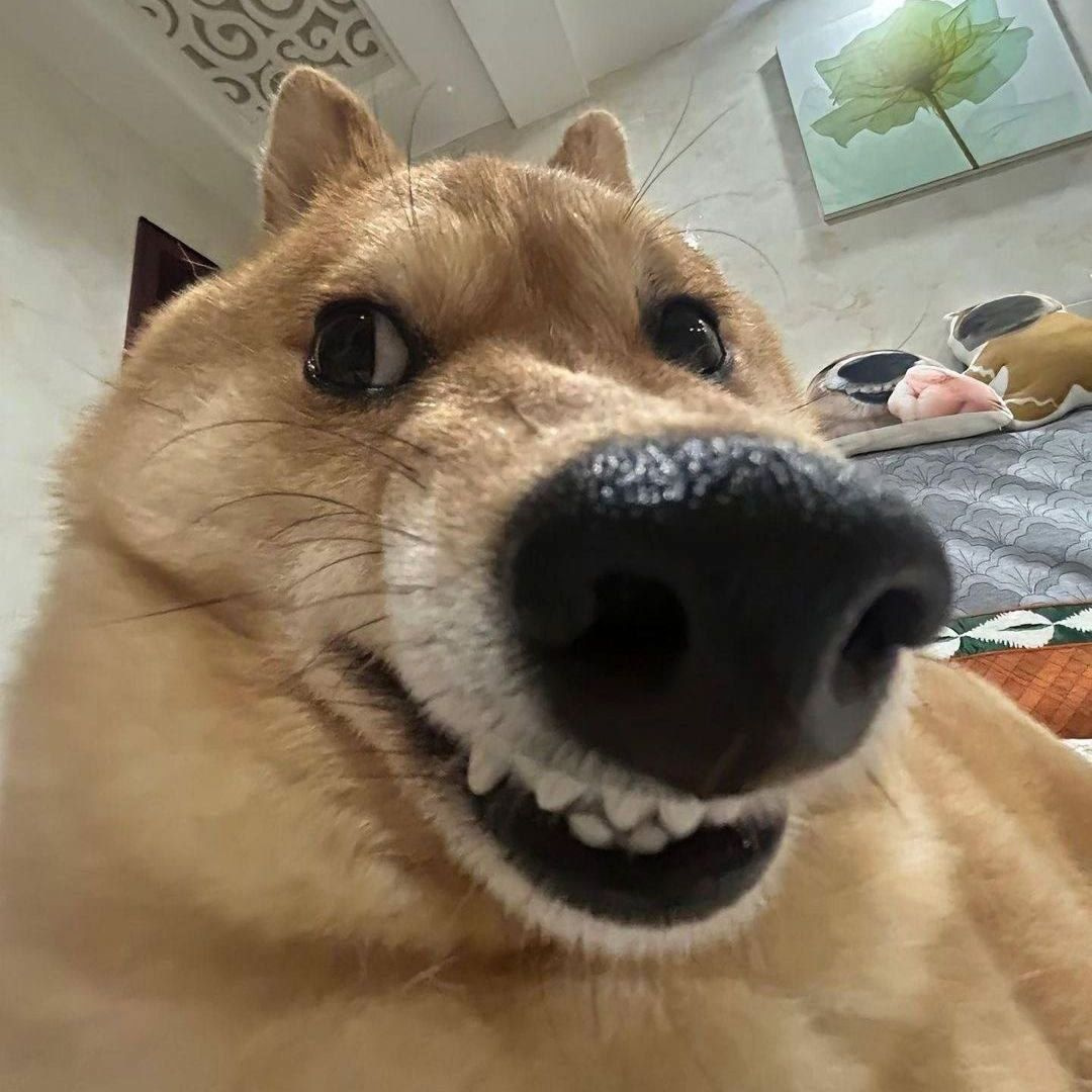 ahnartjmas