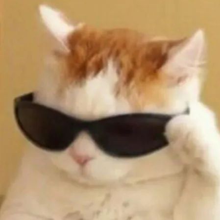 -1ba1 FACEIT avatar