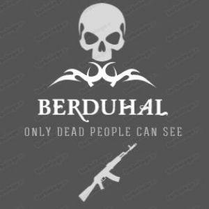 BerduhaLL avatar