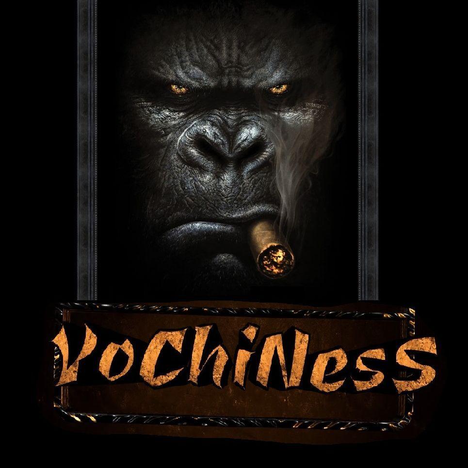 Player YocHiNesS avatar