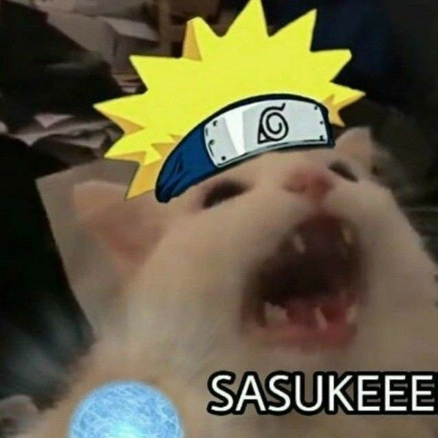sasusi