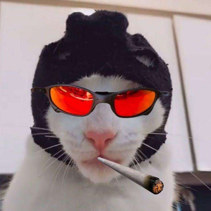MarceloMM