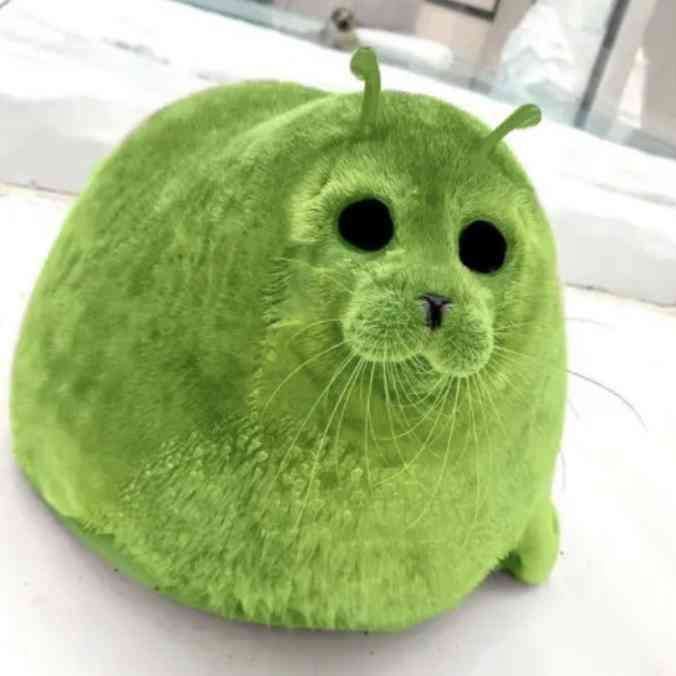 dango5