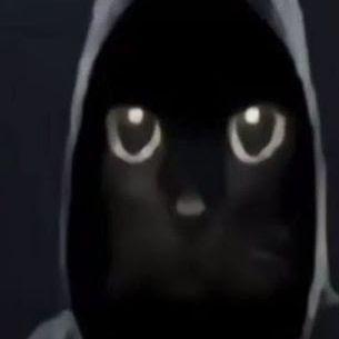 yasn0vizhu avatar