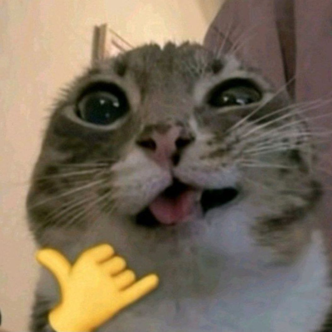 Kenipppl