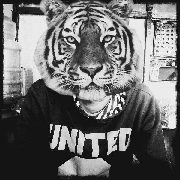 musya_meow