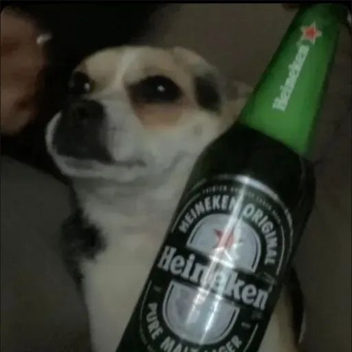ogkonrad
