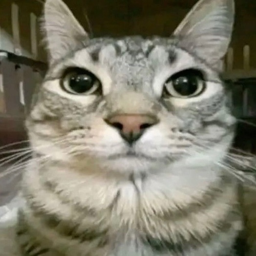 smoxy72