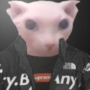 2wool avatar