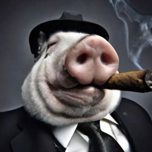 CEMEN_E6Rb avatar