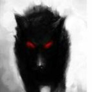 zverX3 avatar