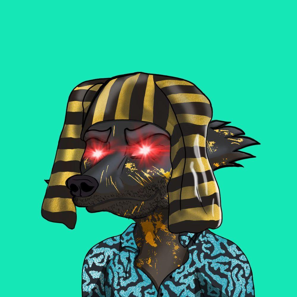 g4ymer avatar