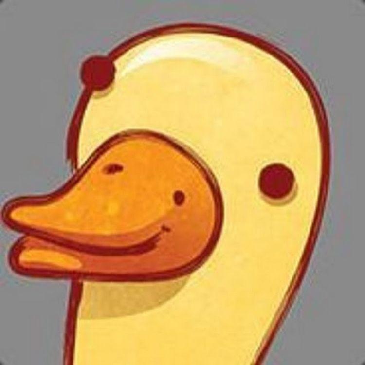 Player Duck_zx avatar