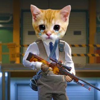 vipdogan avatar