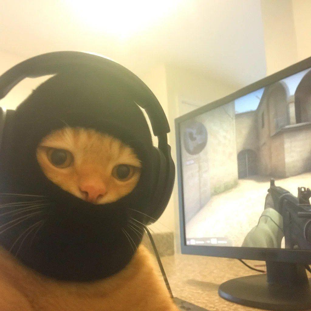 agavex avatar