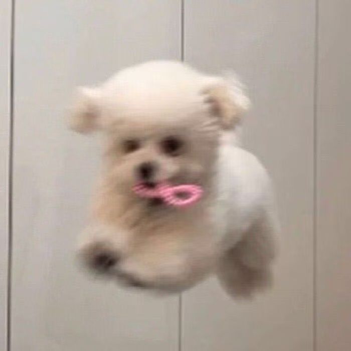 team_Xxxbb2