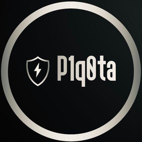 Player p1q0ta avatar
