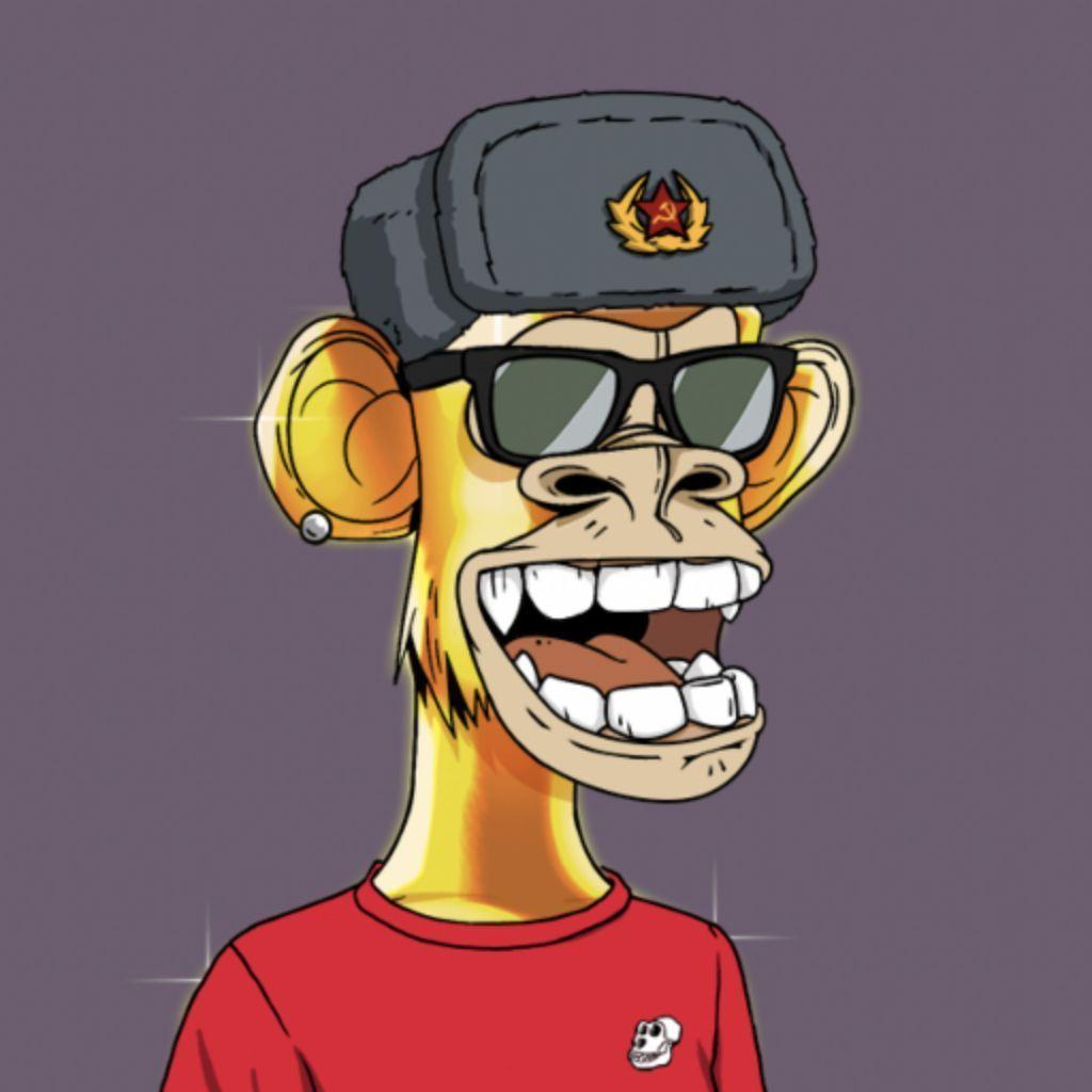 PohyistXD avatar