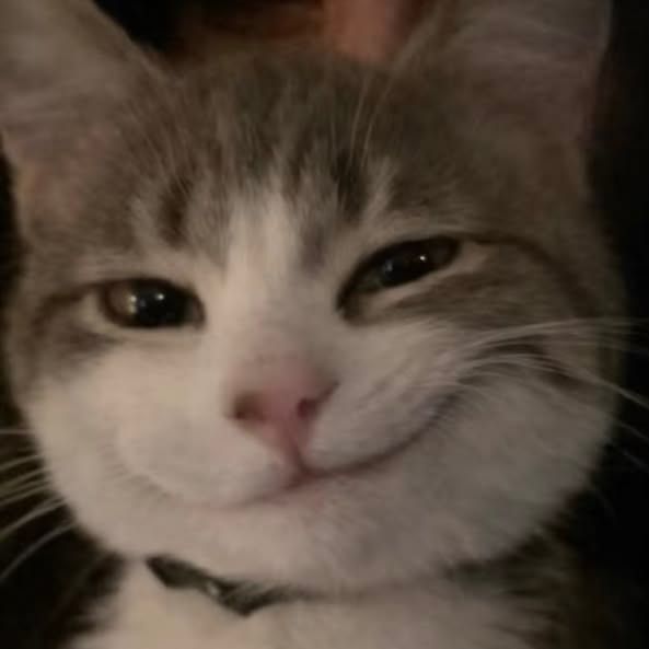 Tiltsuu FACEIT avatar