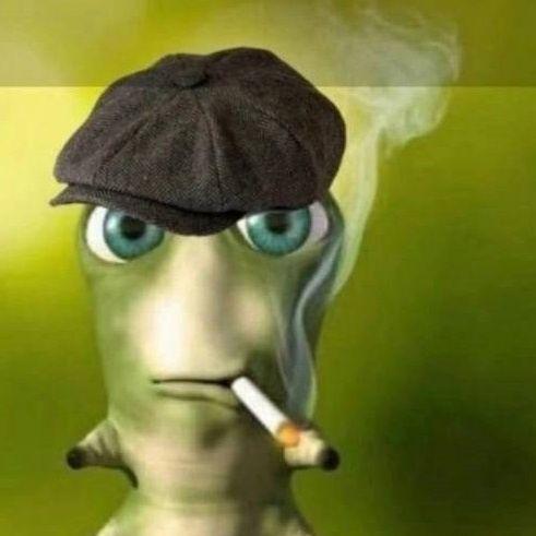 777davud avatar